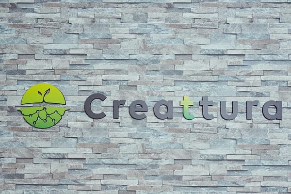 Creattura raises JPY 350m from the Development Bank of Japan and Sumitomo Mitsui Insurance